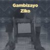 Gambizayo Ziko (Hardcopy)- Author: Terence Phiri