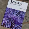 796354707_28416964857970173_3996628131430073312_n Lusaka- Unconventianal Guide- Author: Diego Cassinelli