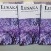 Lusaka- The Unconventional Guide by Diego Cassinelli Lusaka- Unconventianal Guide- Author: Diego Cassinelli