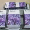 Lusaka- The Unconventional Guide by Diego Cassinelli- Lusaka- Unconventianal Guide- Author: Diego Cassinelli